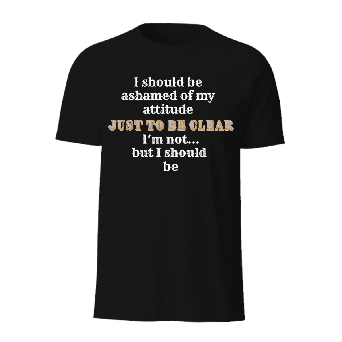I Should Be Ashamed I Should Be Ashamed - Image 2