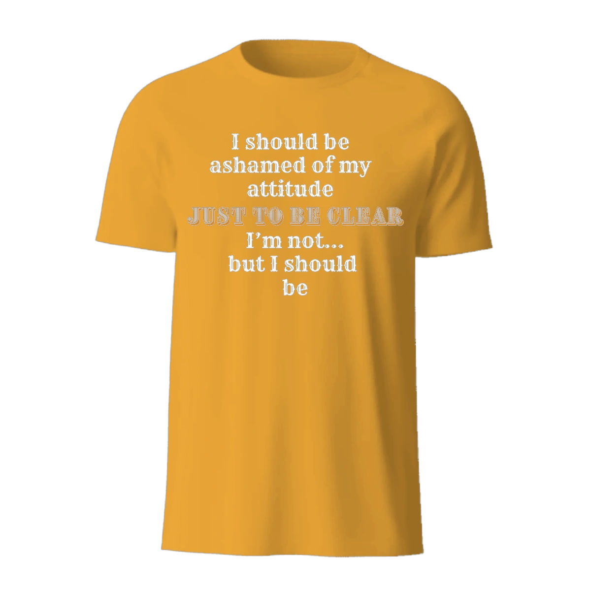 I Should Be Ashamed I Should Be Ashamed - Image 4